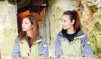 吃瓜娱乐圈万万没想到,揭秘“吃瓜群众”万万没想到的真相